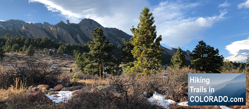 Hiking Trails in Colorado Homestead and Mesa Trail