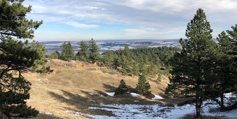 Hiking Trails in Colorado Homestead and Mesa Trail