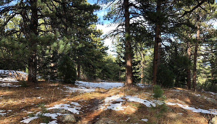 Hiking Trails in Colorado Homestead and Mesa Trail