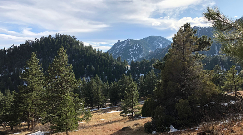 Hiking Trails in Colorado Homestead and Mesa Trail