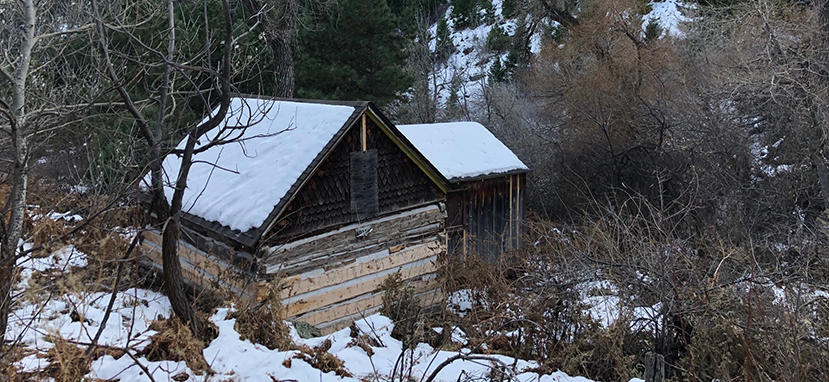 Hiking Trails in Colorado Homestead and Mesa Trail