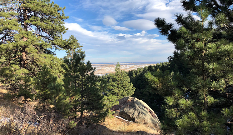 Hiking Trails in Colorado Homestead and Mesa Trail