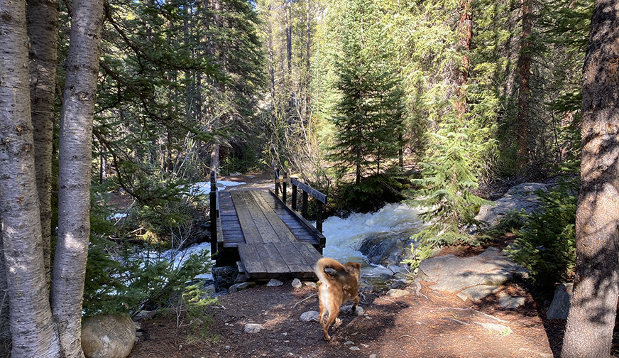 Bridge over Creek with Snow Melt Runoff