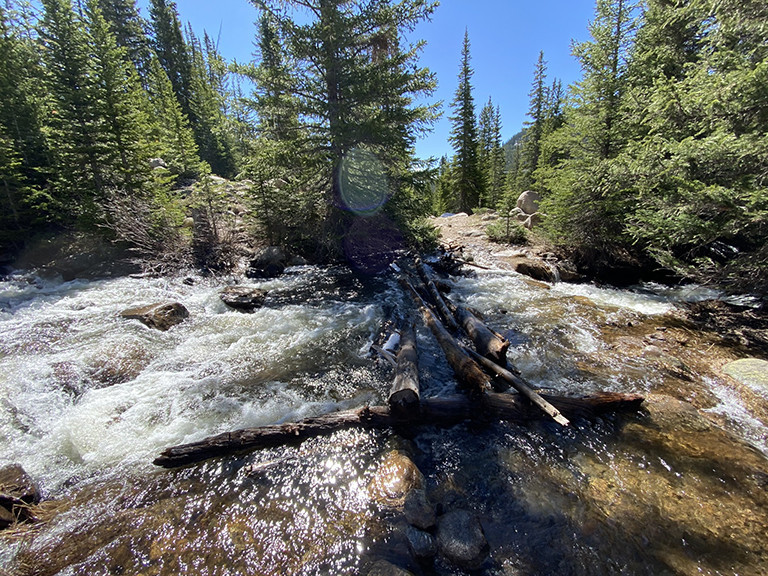 Creek Crossing on Logs