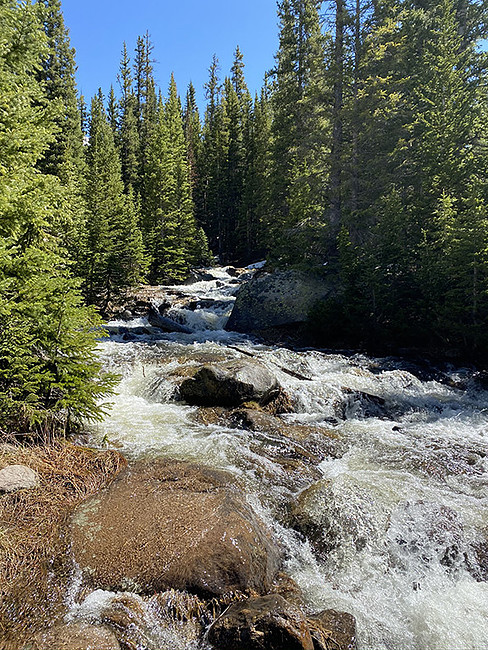 Creek on the Timberline Lake Trail