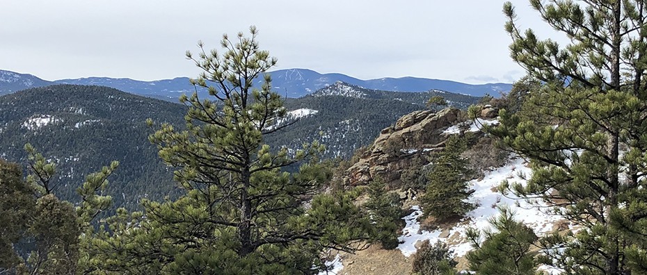 Hiking Trails in Colorado | Mount Falcon