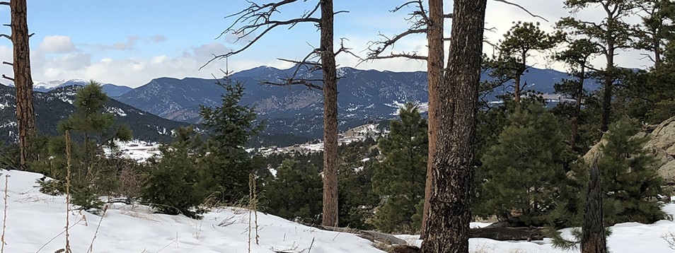 Hiking Trails in Colorado | Mount Falcon