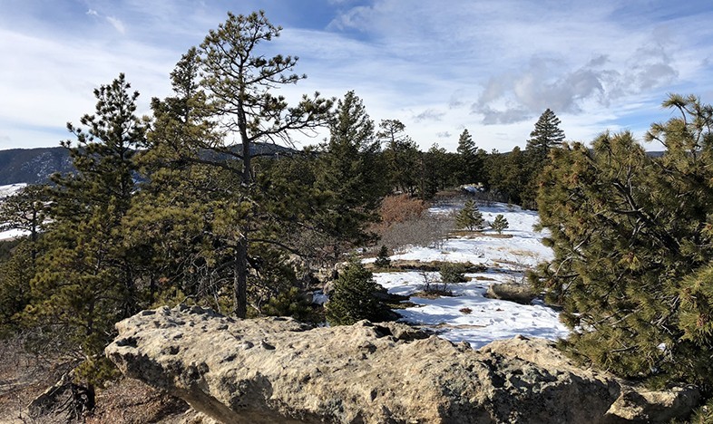 Hiking Trails in Colorado | Spruce Mountain Trail