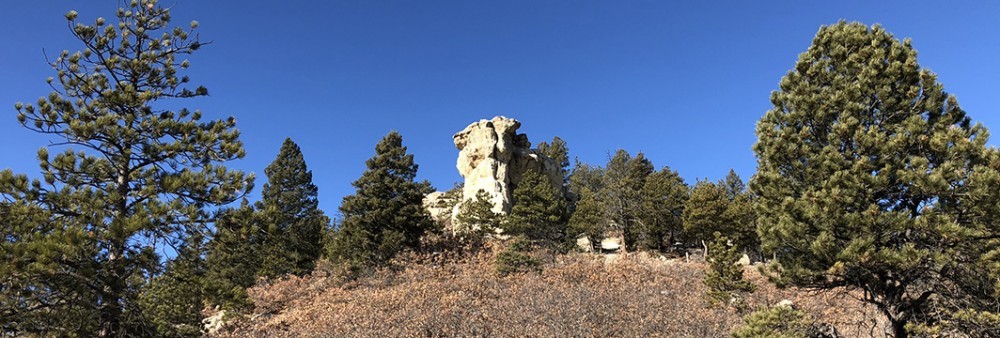 Hiking Trails in Colorado | Spruce Mountain Trail