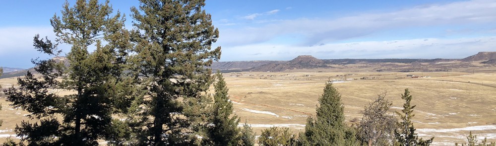 Hiking Trails in Colorado | Spruce Mountain Trail