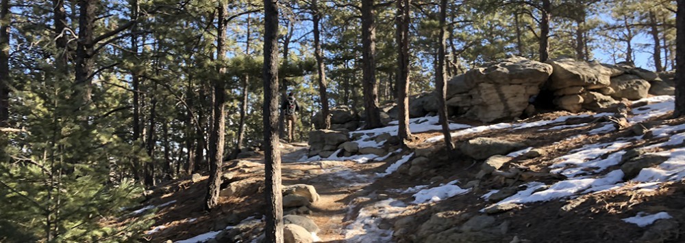 Hiking Trails in Colorado | Spruce Mountain Trail