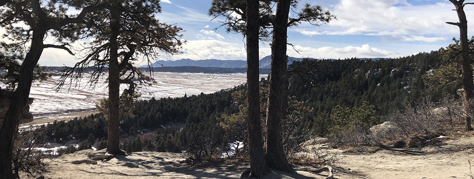 Hiking Trails in Colorado | Spruce Mountain Trail