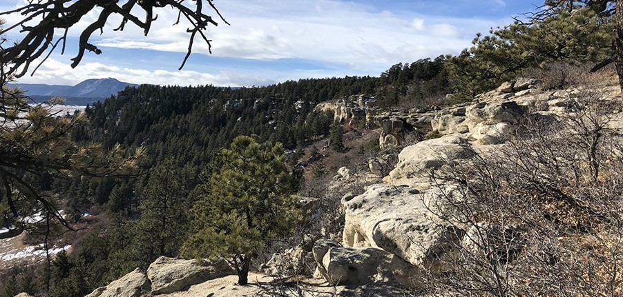 Hiking Trails in Colorado | Spruce Mountain Trail