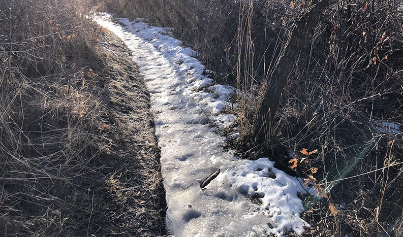 Icy Trail at the Roxborough State Park
