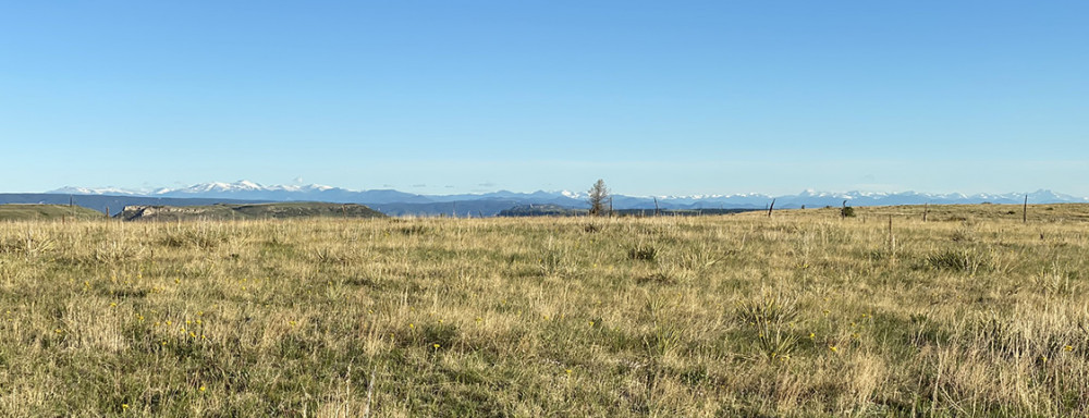 Mount Evans | Longs Peak | RMNP