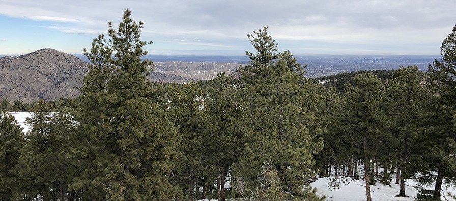 Mount Falcon Looking East