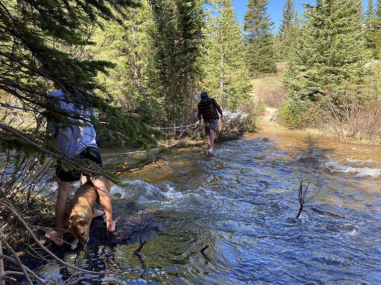 Overflowing Creek