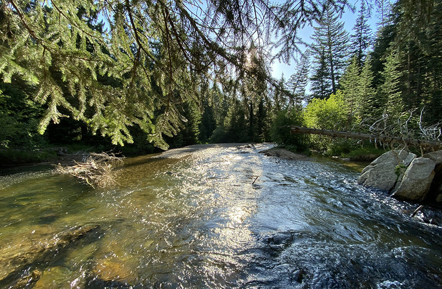 Roaring Fork River