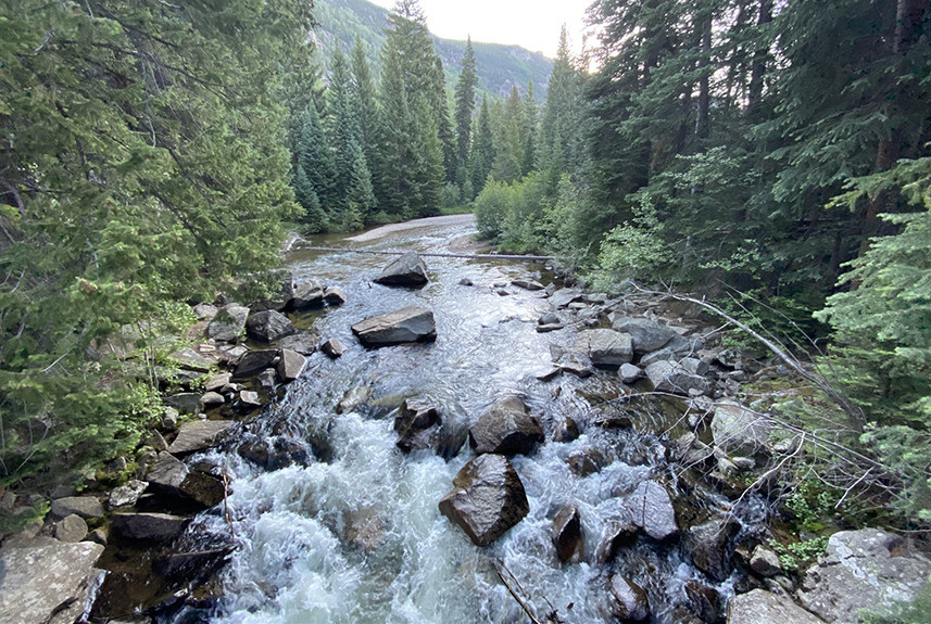 Roaring Fork River | Looking South