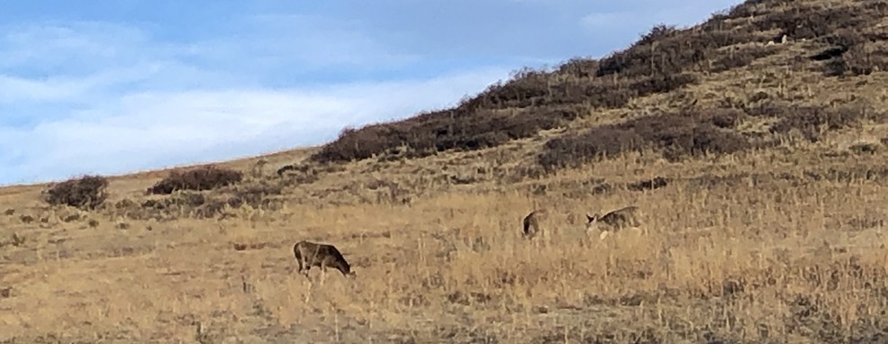 Roxborough State Park, Colorado