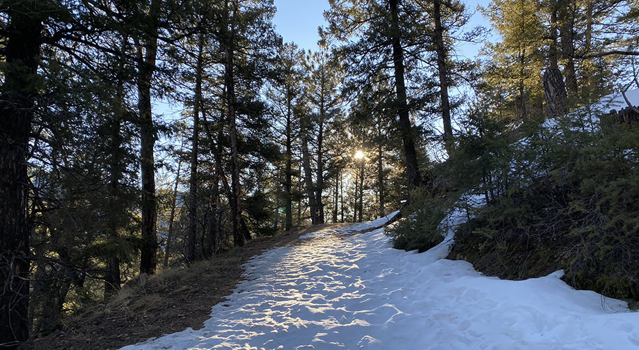 Snow on a Colorado Rockies trail