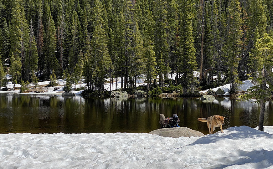 Sun Bathing at Timberline Lake