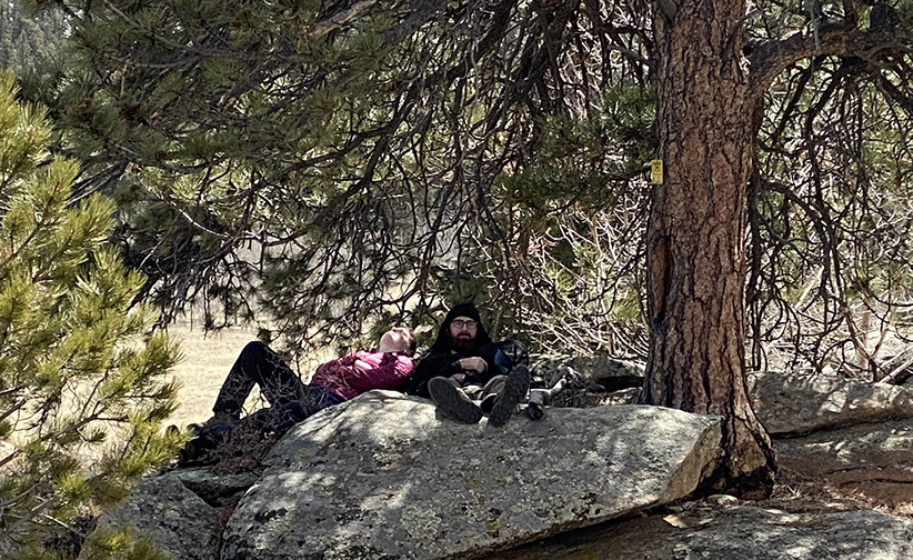 Taking a nap under the tree