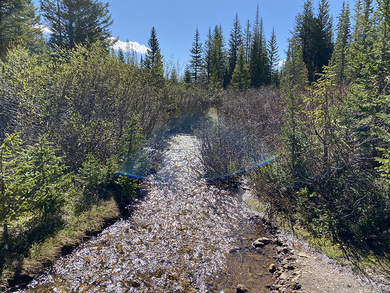 The Trail Became a Creek