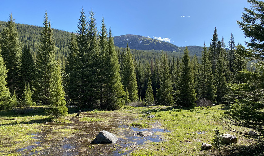 Timberline Lake Trail