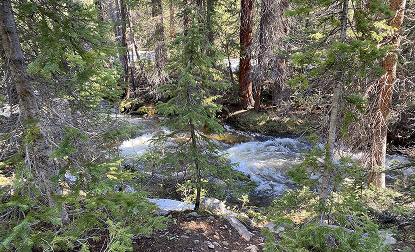 Timberline Lake Trail